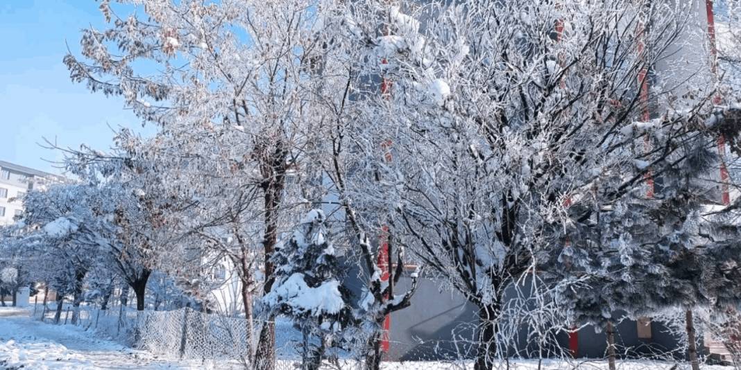 Bitlis’te dondurucu soğuk etkili oluyor: Hava sıcaklığı eksi 13,8 dereceyi gördü 8